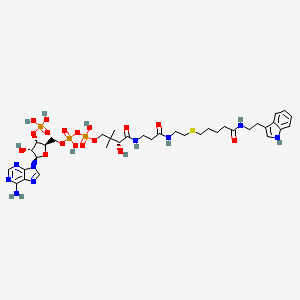 molecular formula C36H54N9O17P3S B10778469 CoA-S-trimethylene-acetyl-tryptamine 