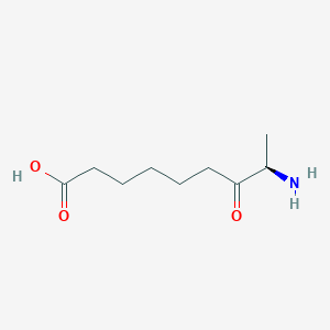 molecular formula C9H17NO3 B10778523 (R)-8-Amino-7-oxononanoic acid CAS No. 682799-69-5