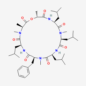 molecular formula C42H68N6O8 B10778824 Cotransin 