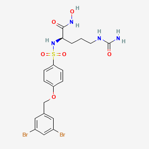 molecular formula C19H22Br2N4O6S B10779992 JG26 