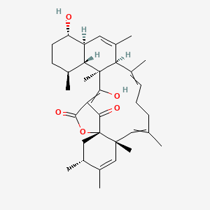 molecular formula C34H46O5 B10780697 Tetromycin B 