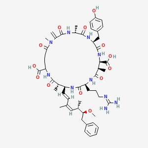 molecular formula C52H72N10O13 B10781307 Cyanoginosin YR 