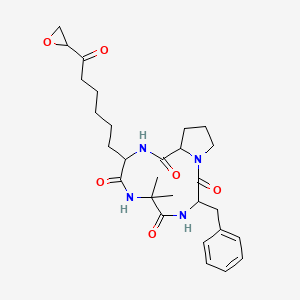 molecular formula C28H38N4O6 B10782707 3-Benzyl-6,6-dimethyl-9-[6-(oxiran-2-yl)-6-oxohexyl]-1,4,7,10-tetrazabicyclo[10.3.0]pentadecane-2,5,8,11-tetrone 