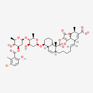 molecular formula C50H63BrO16 B10782929 (1S,3R,6R,7E,13R,16S,17S,21R,22R)-17-[(2R,4R,5S,6R)-5-[(2S,4R,5R,6R)-4-(3-bromo-6-methoxy-2-methylbenzoyl)oxy-5-hydroxy-6-methyloxan-2-yl]oxy-4-hydroxy-6-methyloxan-2-yl]oxy-28-hydroxy-3,22-dimethyl-23,26-dioxo-24,27-dioxapentacyclo[23.2.1.01,6.013,22.016,21]octacosa-4,7,14,25(28)-tetraene-4-carboxylic acid 