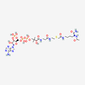 molecular formula C31H53N10O19P3S B10783161 Ac-Lys(CoA)-NH2 
