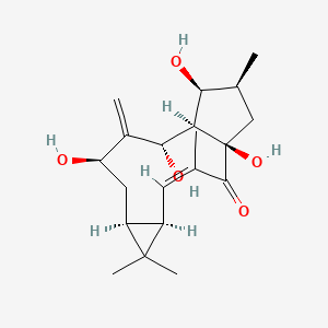 molecular formula C20H30O5 B10783592 (1R,3Z,5R,7S,9R,11S,12R,13S,14S)-1,9,11,13-tetrahydroxy-3,6,6,14-tetramethyl-10-methylidenetricyclo[10.3.0.05,7]pentadec-3-en-2-one 