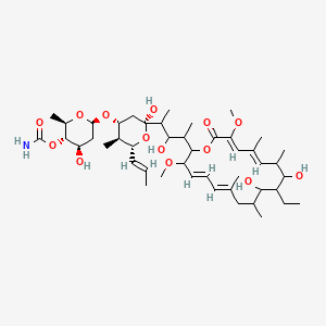 molecular formula C46H75NO14 B10787880 Antibiotic X 4357B;Concanamycin;X 4357B CAS No. 98932-70-8