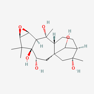 molecular formula C20H32O6 B10789699 (1S,3R,4R,6R,8S,9S,10R,11R,14R,15R)-5,5,10,15-tetramethyl-7-oxapentacyclo[12.2.1.01,11.04,9.06,8]heptadecane-3,4,10,15,17-pentol 