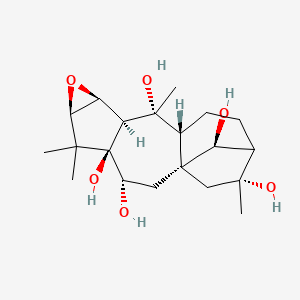 molecular formula C20H32O6 B10789738 Rhodojaponin-III 