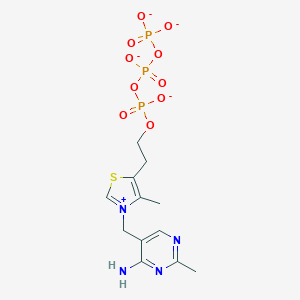 molecular formula C12H16N4O10P3S-3 B107900 Thiamine(1+) triphosphate(4-) CAS No. 15666-52-1
