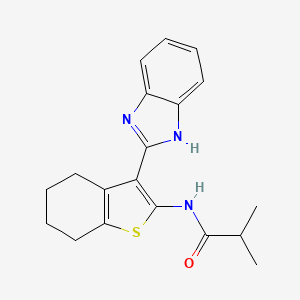 molecular formula C19H21N3OS B10806897 N-[3-(1H-benzimidazol-2-yl)-4,5,6,7-tetrahydro-1-benzothiophen-2-yl]-2-methylpropanamide 