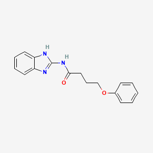 molecular formula C17H17N3O2 B10808392 N-(1H-benzimidazol-2-yl)-4-phenoxybutanamide 
