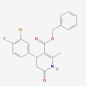 molecular formula C20H17BrFNO3 B10811324 Benzyl 4-(3-bromo-4-fluorophenyl)-2-methyl-6-oxo-1,4,5,6-tetrahydropyridine-3-carboxylate 