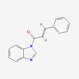 molecular formula C16H12N2O B10811778 1-Benzoimidazol-1-yl-3-phenyl-propenone 