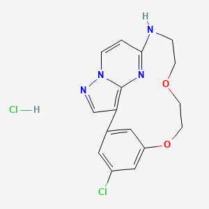 molecular formula C16H16Cl2N4O2 B10814303 OD36 hydrochloride 