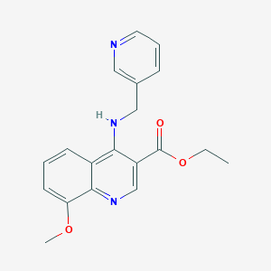 molecular formula C19H19N3O3 B10816978 Ethyl 8-methoxy-4-((pyridin-3-ylmethyl)amino)quinoline-3-carboxylate 