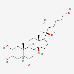 25R-Inokosterone