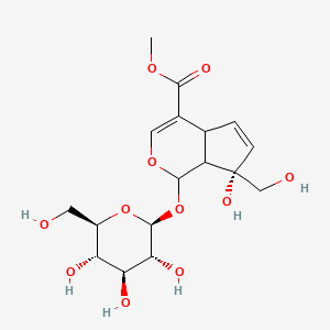 molecular formula C17H24O11 B10818585 methyl (1S,7S)-7-hydroxy-7-(hydroxymethyl)-1-[(2S,3R,4S,5S,6R)-3,4,5-trihydroxy-6-(hydroxymethyl)oxan-2-yl]oxy-4a,7a-dihydro-1H-cyclopenta[c]pyran-4-carboxylate 
