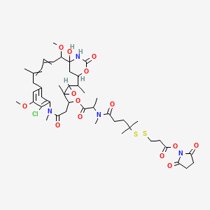 (R)-DM4-SPDP