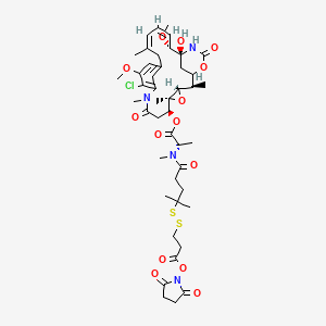 (R)-DM4-SPDP