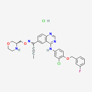 molecular formula C30H28Cl2FN5O3 B10818939 N-[3-chloro-4-[(3-fluorophenyl)methoxy]phenyl]-6-[N-[[(3R)-morpholin-3-yl]methoxy]-C-prop-1-ynylcarbonimidoyl]quinazolin-4-amine;hydrochloride 