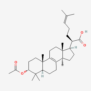 molecular formula C32H50O4 B10819568 Tsugaric acid A 