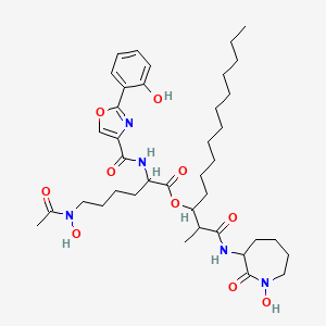 molecular formula C39H59N5O10 B10820041 nocardimicin B 