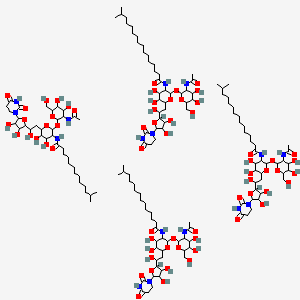 molecular formula C154H268N16O64 B10820127 N-[2-[3-acetamido-4,5-dihydroxy-6-(hydroxymethyl)oxan-2-yl]oxy-6-[2-[5-(2,4-dioxo-1,3-diazinan-1-yl)-3,4-dihydroxyoxolan-2-yl]-2-hydroxyethyl]-4,5-dihydroxyoxan-3-yl]-15-methylhexadecanamide;N-[2-[3-acetamido-4,5-dihydroxy-6-(hydroxymethyl)oxan-2-yl]oxy-6-[2-[5-(2,4-dioxo-1,3-diazinan-1-yl)-3,4-dihydroxyoxolan-2-yl]-2-hydroxyethyl]-4,5-dihydroxyoxan-3-yl]-14-methylpentadecanamide;N-[2-[3-acetamido-4,5-dihydroxy-6-(hydroxymethyl)oxan-2-yl]oxy-6-[2-[5-(2,4-dioxo-1,3-diazinan-1-yl)-3,4-dihydroxyoxolan-2-yl]-2-hydroxyethyl]-4,5-dihydroxyoxan-3-yl]-13-methyltetradecanamide;N-[2-[3-acetamido-4,5-dihydroxy-6-(hydroxymethyl)oxan-2-yl]oxy-6-[2-[5-(2,4-dioxo-1,3-diazinan-1-yl)-3,4-dihydroxyoxolan-2-yl]-2-hydroxyethyl]-4,5-dihydroxyoxan-3-yl]-12-methyltridecanamide 