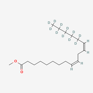 molecular formula C19H34O2 B10820272 Linoleic Acid-d11 methyl ester 
