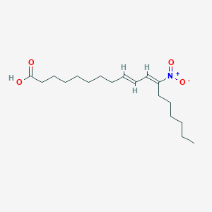 molecular formula C18H31NO4 B10820405 12-NO2-Cla 