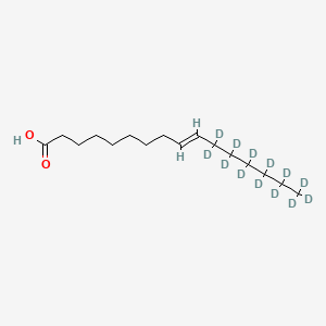 molecular formula C16H30O2 B10820448 Palmitelaidic acid-d13 
