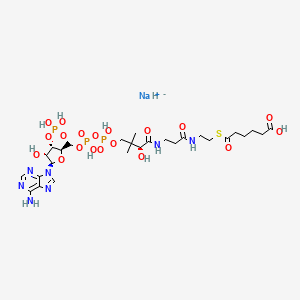 molecular formula C27H45N7NaO19P3S B10820857 Adipoyl-Coenzyme A (sodium salt) 