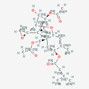 molecular formula C24H34O9 B10821258 T-2 Toxin-13C24 