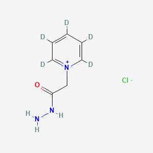 molecular formula C7H10ClN3O B10823198 Girard's Reagent P-d5 