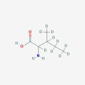 molecular formula C6H13NO2 B10823265 DL-Isoleucine-d10 