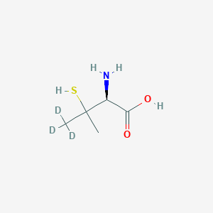 molecular formula C5H11NO2S B10823377 Penicillamine-d3 
