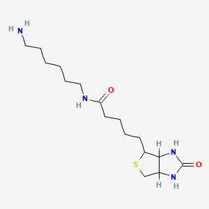 molecular formula C16H30N4O2S B10823654 Biotinyl hexylamine 