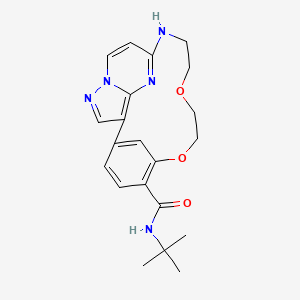 molecular formula C21H25N5O3 B10824041 CK156 