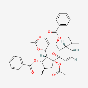 molecular formula C38H42O9 B10825050 [(1R,3Z,5R,7S,9R,12R,13S,14S)-1,11-diacetyloxy-13-benzoyloxy-3,6,6,14-tetramethyl-10-methylidene-2-oxo-9-tricyclo[10.3.0.05,7]pentadec-3-enyl] benzoate 