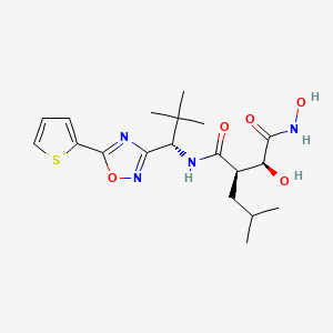 molecular formula C19H28N4O5S B10826268 V7CB4Hwx8B CAS No. 586972-97-6