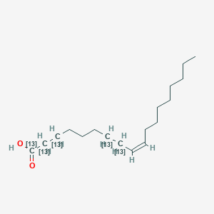 molecular formula C18H34O2 B10830705 (Z)-(1,2,3,7,8-13C5)octadec-9-enoic acid 