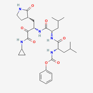 molecular formula C30H43N5O7 B10830759 phenyl N-[(2S)-1-[[(2S)-1-[[(2S)-4-(cyclopropylamino)-3,4-dioxo-1-[(3S)-2-oxopyrrolidin-3-yl]butan-2-yl]amino]-4-methyl-1-oxopentan-2-yl]amino]-4-methyl-1-oxopentan-2-yl]carbamate 