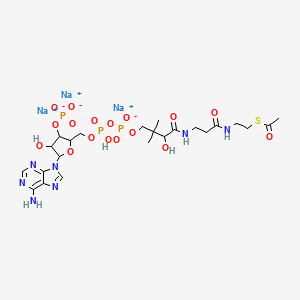 molecular formula C23H35N7Na3O17P3S B10831123 Acetyl-CoA (trisodium) 