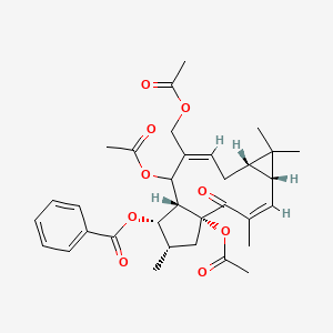 Euphorbia factor L7b