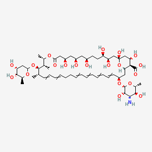 molecular formula C53H85NO20 B10832027 (1S,3R,4R,7R,9R,11R,15S,16S,17R,18S,33R,35S,36R,37S)-33-[(2R,3S,4S,5S,6R)-4-amino-3,5-dihydroxy-6-methyloxan-2-yl]oxy-17-[(4R,5R,6S)-4,5-dihydroxy-6-methyloxan-2-yl]oxy-1,3,4,7,9,11,37-heptahydroxy-15,16,18-trimethyl-13-oxo-14,39-dioxabicyclo[33.3.1]nonatriaconta-19,21,25,27,29,31-hexaene-36-carboxylic acid 