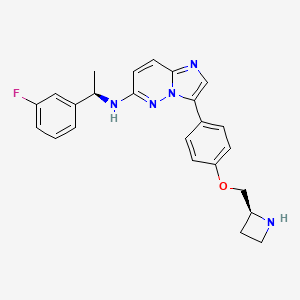 molecular formula C24H24FN5O B10833537 Imidazo[1,2-b]pyridazine derivative 1 