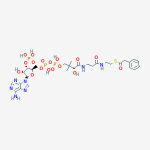 molecular formula C29H42N7O17P3S B108361 phenylacetyl-CoA CAS No. 7532-39-0