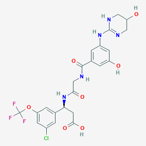 molecular formula C23H23ClF3N5O7 B10836520 (3S)-3-[3-chloro-5-(trifluoromethoxy)phenyl]-3-[[2-[[3-hydroxy-5-[(5-hydroxy-1,4,5,6-tetrahydropyrimidin-2-yl)amino]benzoyl]amino]acetyl]amino]propanoic acid 