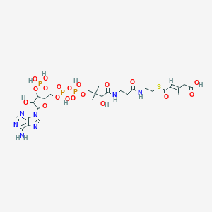 5-[2-[3-[[4-[[[5-(6-Aminopurin-9-yl)-4-hydroxy-3-phosphonooxyoxolan-2-yl]methoxy-hydroxyphosphoryl]oxy-hydroxyphosphoryl]oxy-2-hydroxy-3,3-dimethylbutanoyl]amino]propanoylamino]ethylsulfanyl]-3-methyl-5-oxopent-3-enoic acid