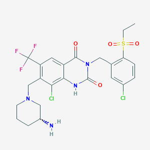 molecular formula C24H25Cl2F3N4O4S B10837066 7-((R)-3-Amino-piperidin-1-ylmethyl)-8-chloro-3-(5-chloro-2-ethanesulfonyl-benzyl)-6-trifluoromethyl-1H-quinazoline-2,4-dione 